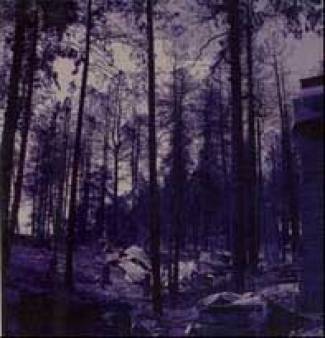 9-Songs Split