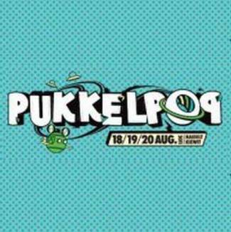 Pukkelpop 2011 - wat we van ons afschreven
