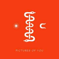 Pictures of You -single-