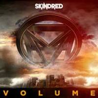 Nouvelle frappe de Skindred prévue après l'été !