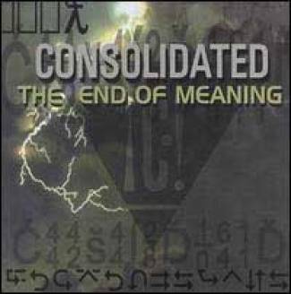 The End Of Meaning