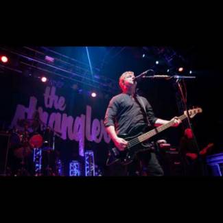 The Stranglers: Still Strangling Around
