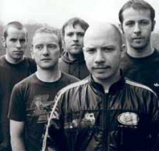 Les volatiles de Mogwai