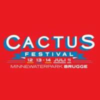 Cactusfestival 2013 – zaterdag 13 juli 2013 – Top exclusieve concerten Michael Kiwanuka, Bonnie Raitt en Calexico!