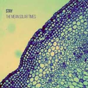 Vous avez aimé Ride, Oasis et The Verve, vous adorerez Stay