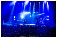 White Lies - Geen wit, maar blauw