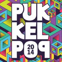 Pukkelpop 2014 : samedi 16 août