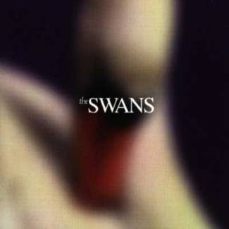 Photographs and Letters