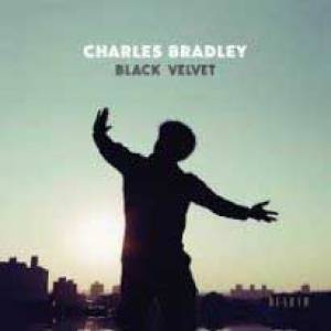 Un bel hommage pour Charles Bradley !