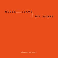 Never Leave My Heart -single-