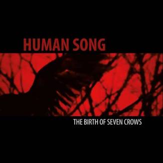 The birth of seven crows