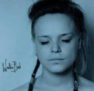 Wallis Bird