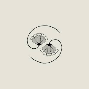 Le monde ideal de Godspeed You! Black Emperor…