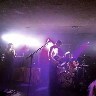 The Amazing Snakeheads - Een potje stevige garage-rock