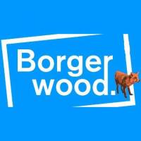 Borgerwood 2017 - Belgian ‘Borgerwood’ Pop!