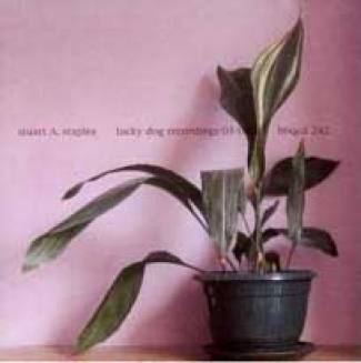 Lucky dog recordings 03-04