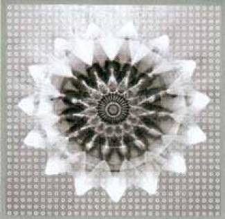 Voiceprint (single)