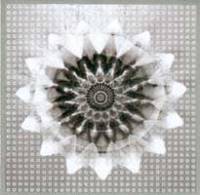 Voiceprint (single)