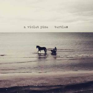 Turtles