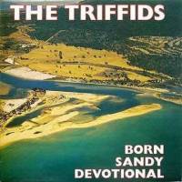 The Triffids - Prachtig eerbetoon