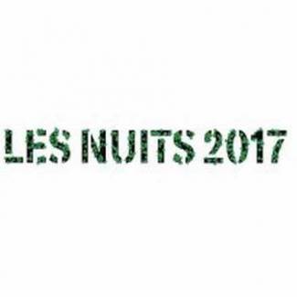 Les Nuits Botanique 2017 – Ryley Walker in een glansrol!