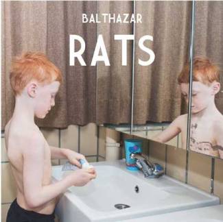Rats