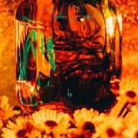 Together Pangea cherche à nous mettre en couleur…