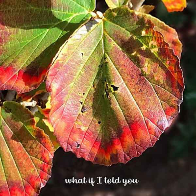 What If I told you –single-