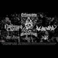 Crowsview - CD release: Hardcore tot aanverwant gebeuren waarbij geluidsmuren worden verpulverd 