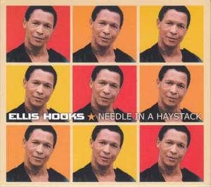 Needle in a haystack