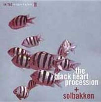 In the fishtank 11