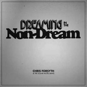 Dreaming In The Non Dream
