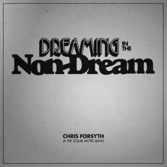 Dreaming In The Non Dream