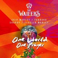 Les Wailers ont retrouvé un Marley…