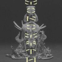 Animal As Leaders, un mythe unique ?