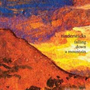 Les Tindersticks font de l’escalade