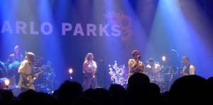 Arlo Parks - Jong soultalent overtuigt 