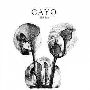 Cayo