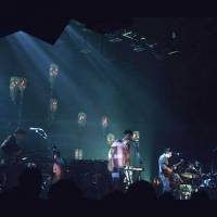 Grizzly Bear – Complexe grilligheid en toegankelijkheid
