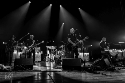 The Afghan Whigs - Zeven optredens, zeven herinneringen, met De Roma en de AB als herinneringen op het netvlies gebrand