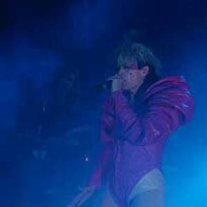 Peaches vermakelijke, ludieke electroclashende bitchpunk