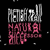 Pictish Trail et la revanche de la nature…