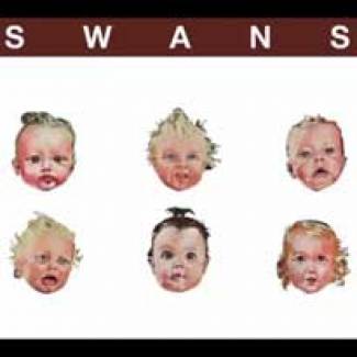 Soyez gentils avec Swans…