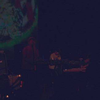 Les Nuits Botanique 2011 - Animal Collective - Weerbarstige set