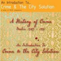 Une introduction à… Crime &amp; The City Solution