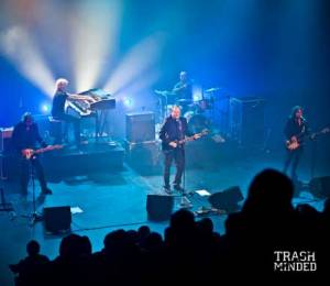 The Scene – Tijdloos Mooi