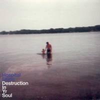 Destruction in yr Soul