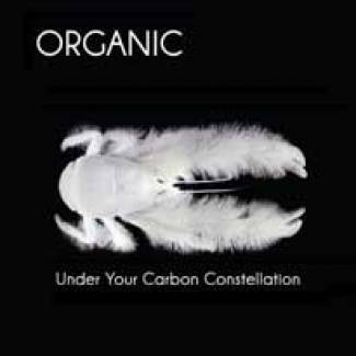 Du carbone Organic ?