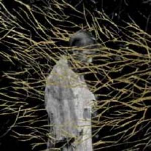 Le dub narcotique de Forest Swords…