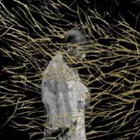 Le dub narcotique de Forest Swords…